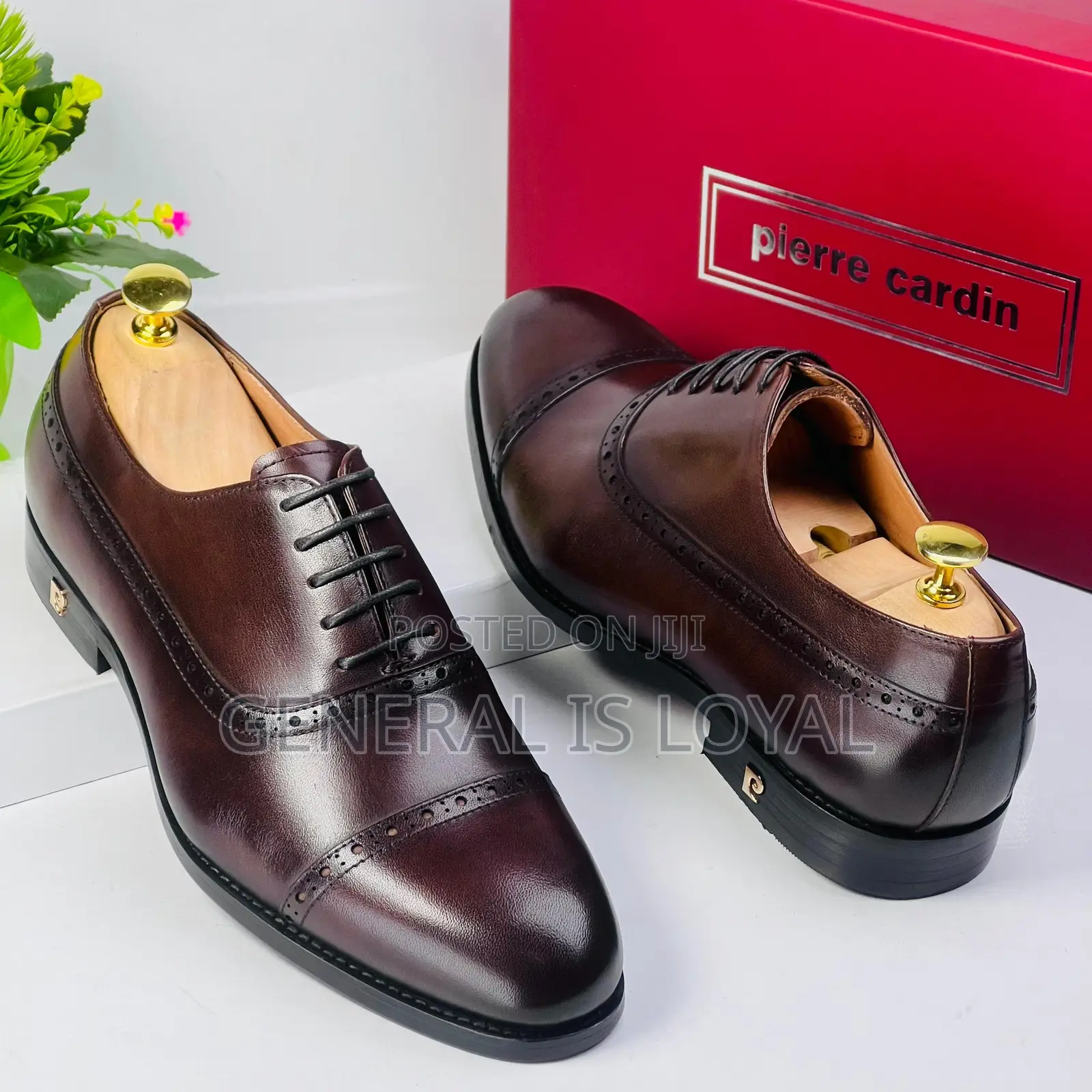 Pierre Cardin Men Shoe