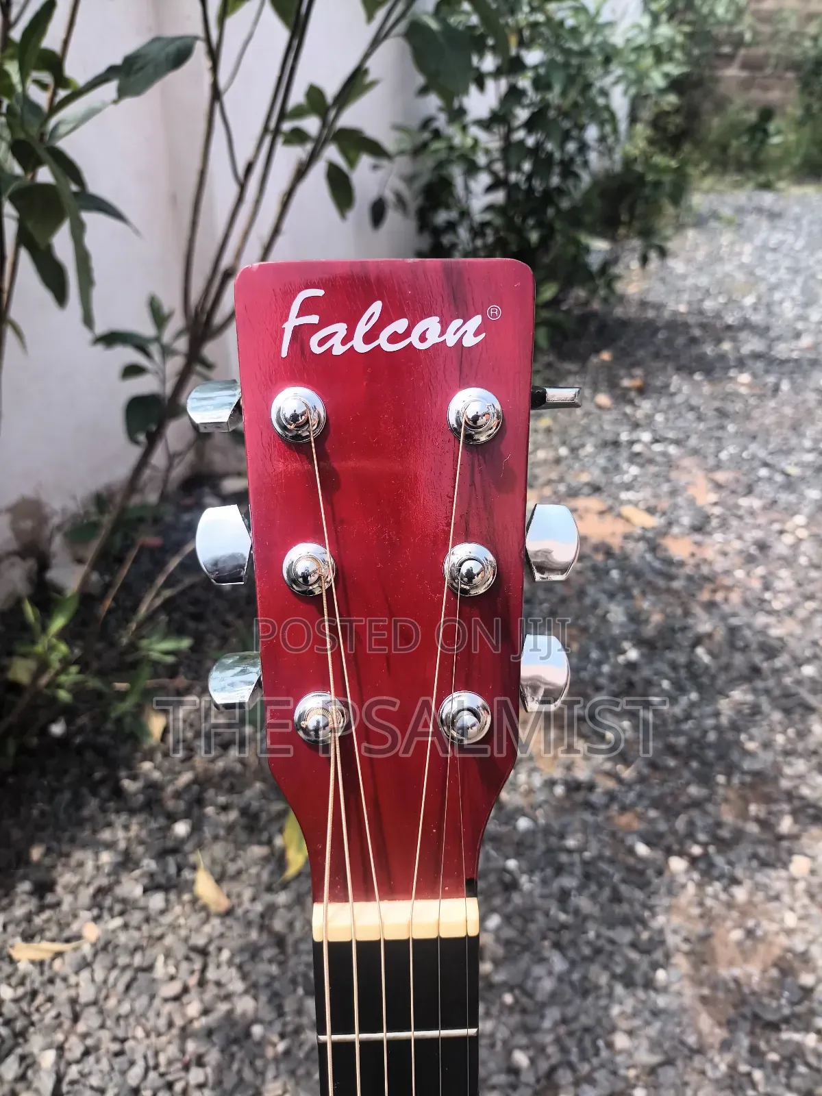 Martins Smith, Encore, Yamaha, Falcon Etc