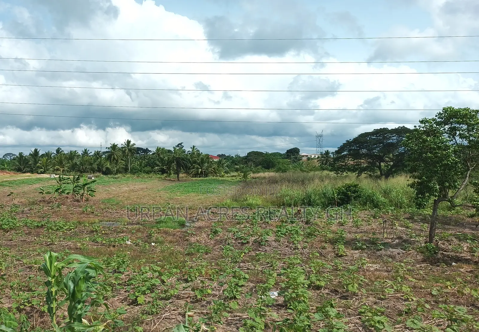 Volta Region - Ho, (Ho - Kpetoe Road) _ 7.18 Acres Land