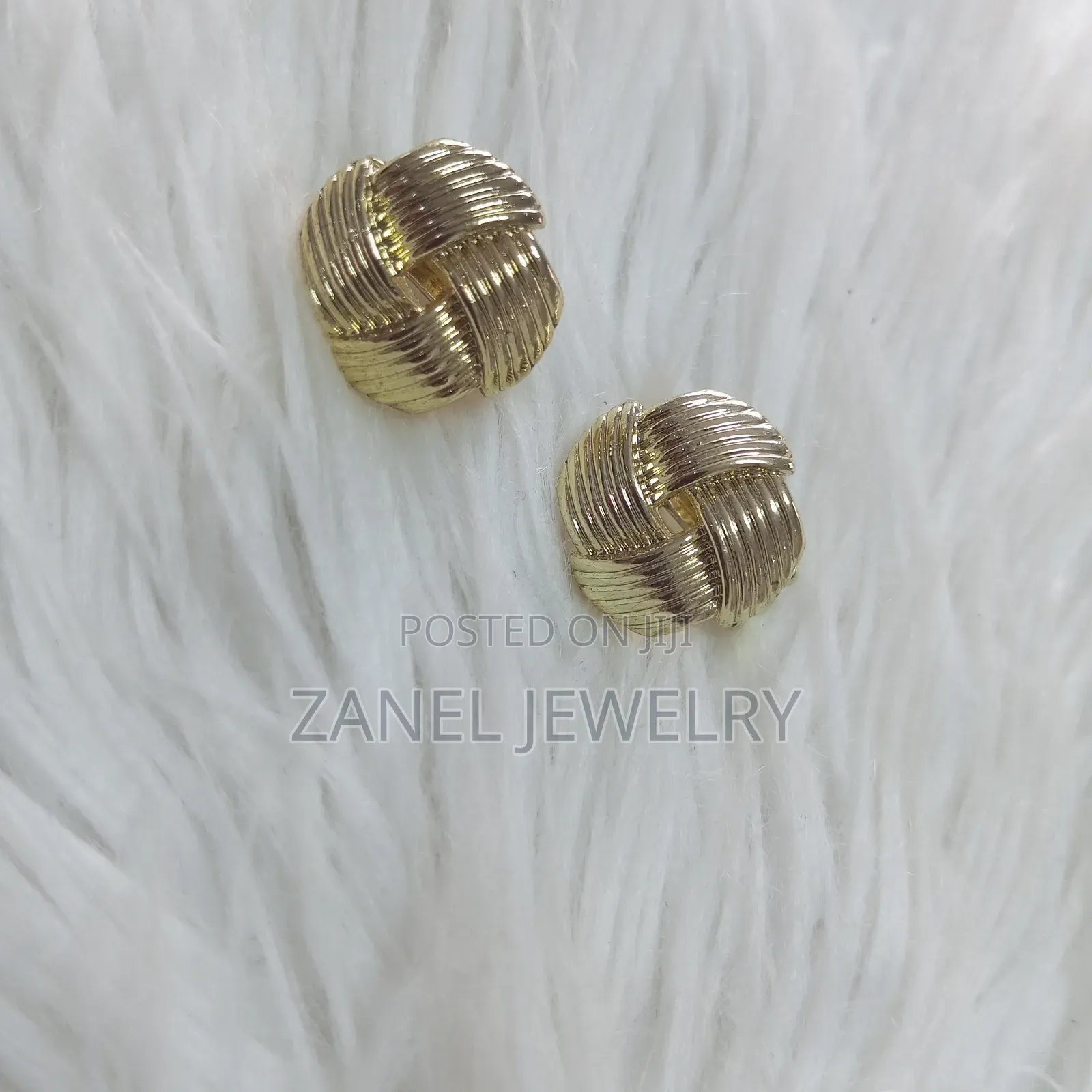 Ladies Clip Earrings