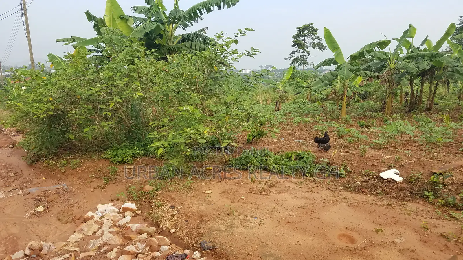 Gt/Acc - Amasaman (Peace Village) _ 2 Plots (0.36 Acre) Land