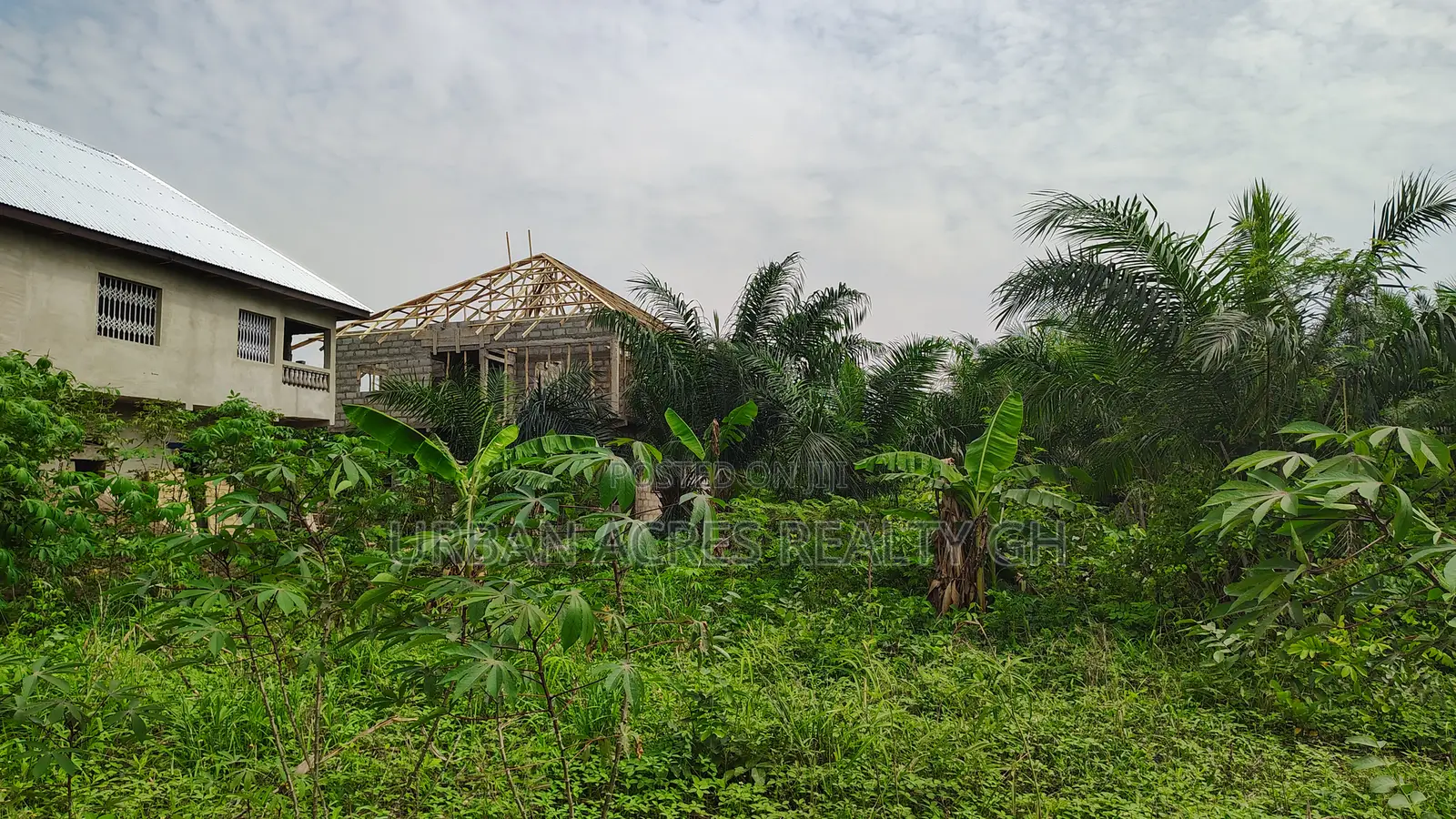 Gt/Acc - Amasaman, (Medie) _ 1 Plot (0.16 Acre) Land
