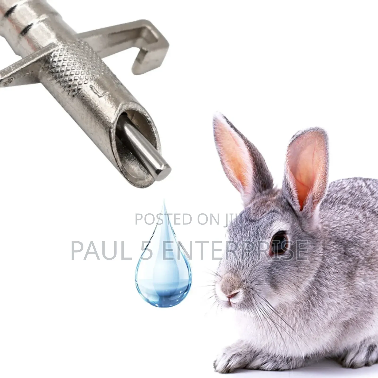 Wholesale And Retail Rabbit Nipples