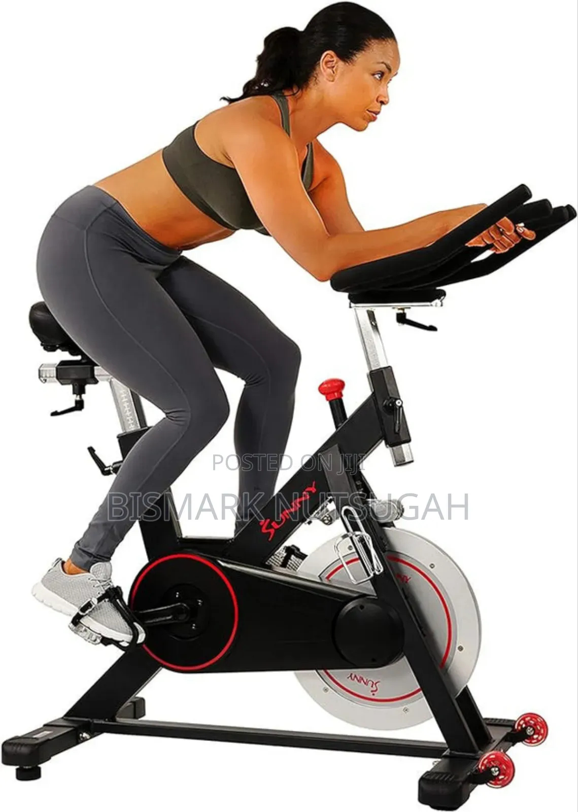 Lifespan Fitness Spin Exercise Bike