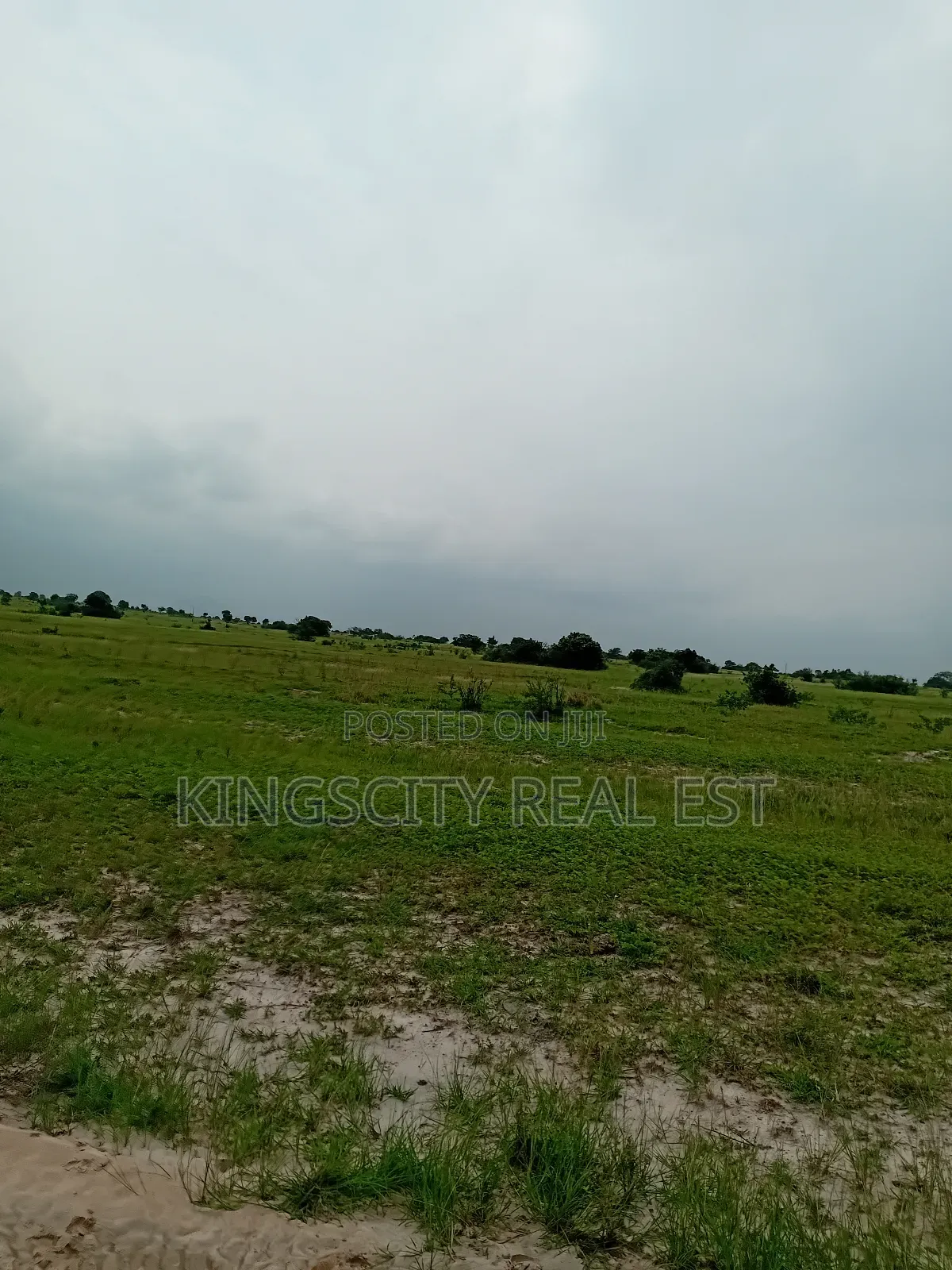Great Lands for the Future