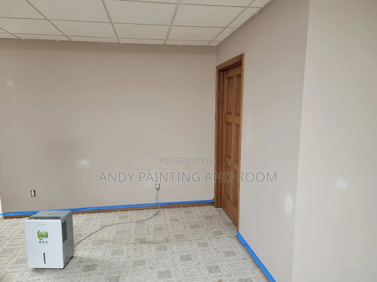 Specialized in 3d Painting and Home Painting