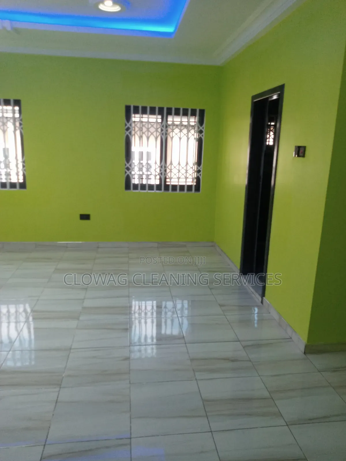 Professional Cleaning Services.