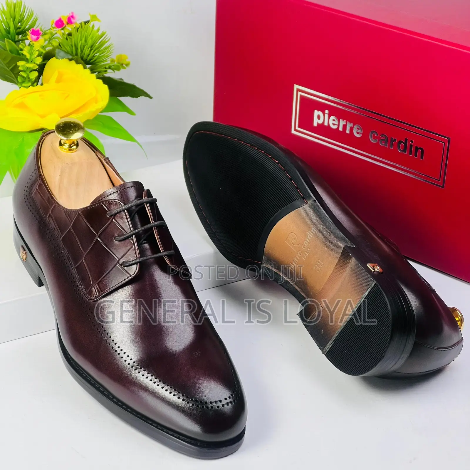 Pierre Cardin Lace Up Black and Coffee
