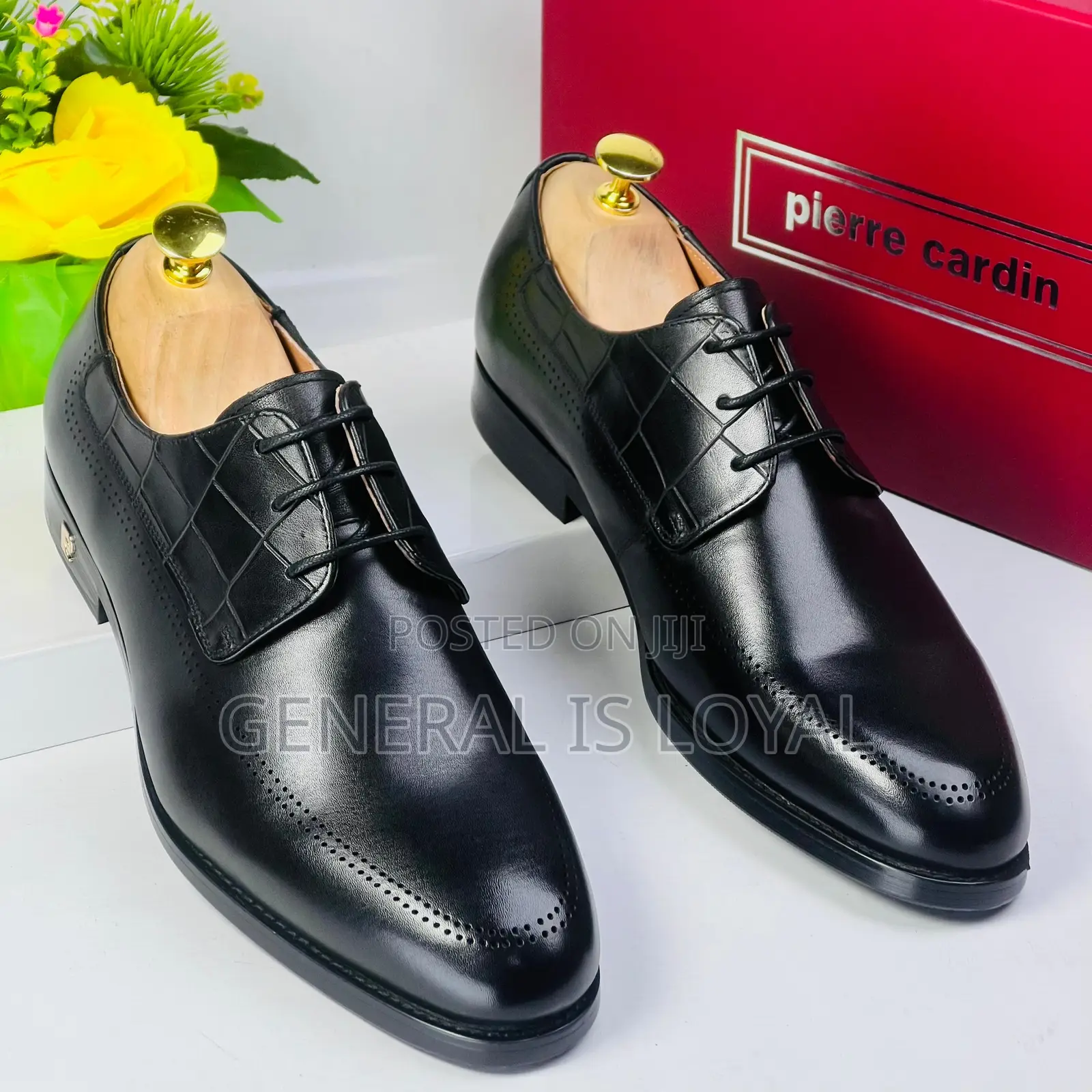 Pierre Cardin Lace Up Black and Coffee