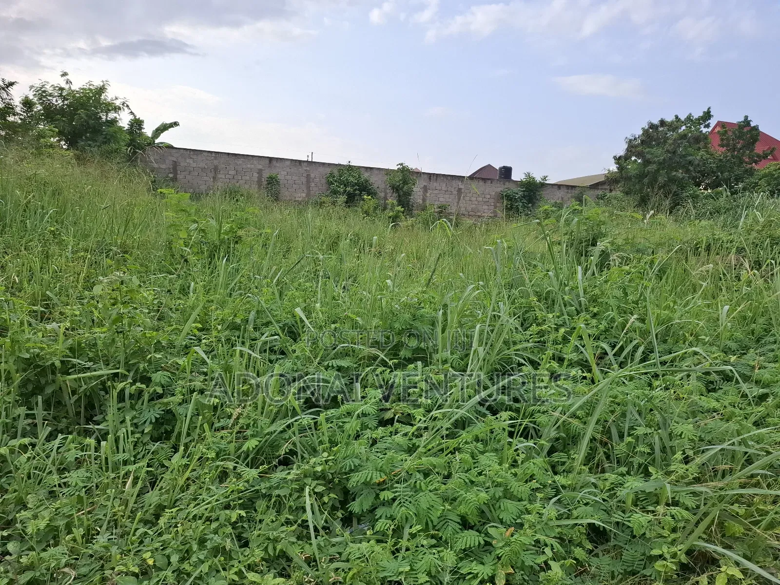 One Full Plot of Land for Sale in Daban