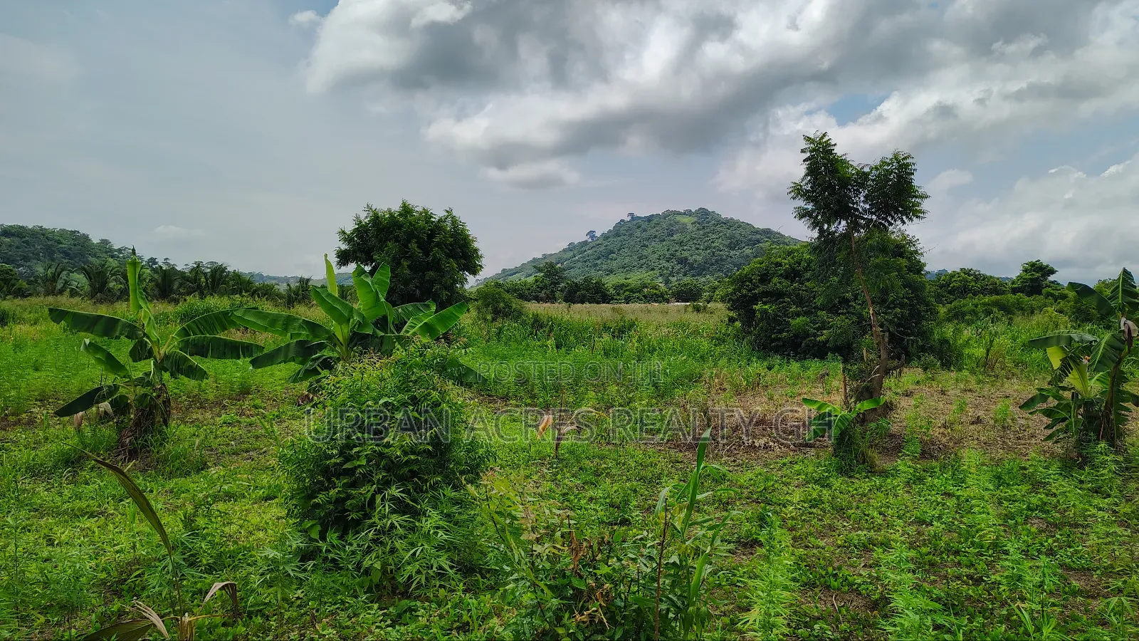 E.R, Asamankesse (Topiase) _ 2900+ Acres Farmland