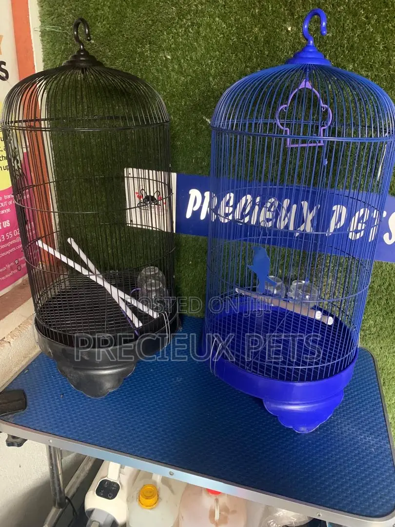 Coon Snapped Parrot and Parakeet Cage