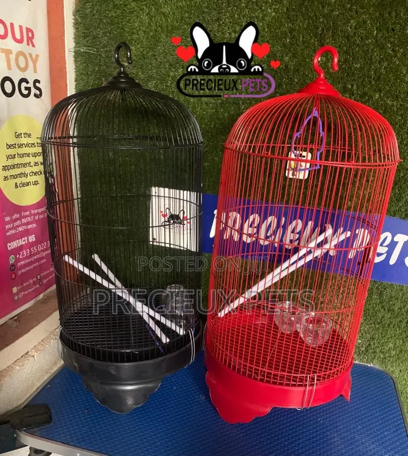 Coon Snapped Parrot and Parakeet Cage