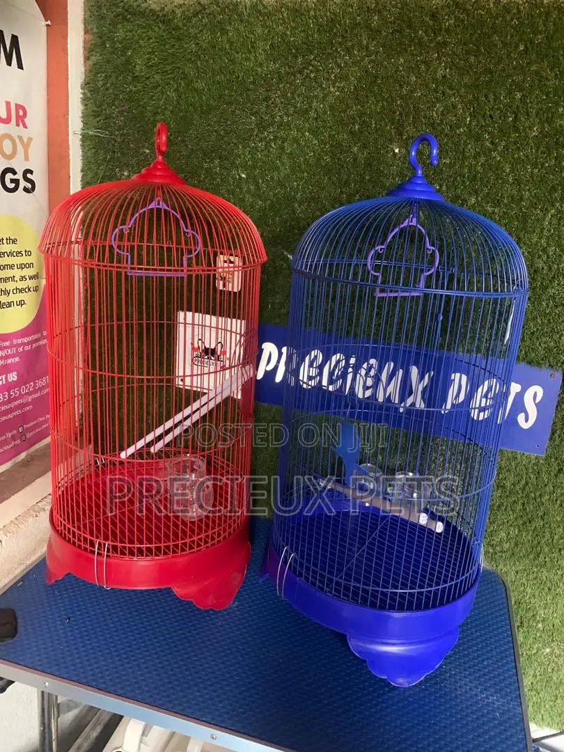 Coon Snapped Parrot and Parakeet Cage