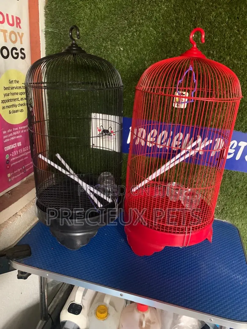Coon Snapped Parrot and Parakeet Cage