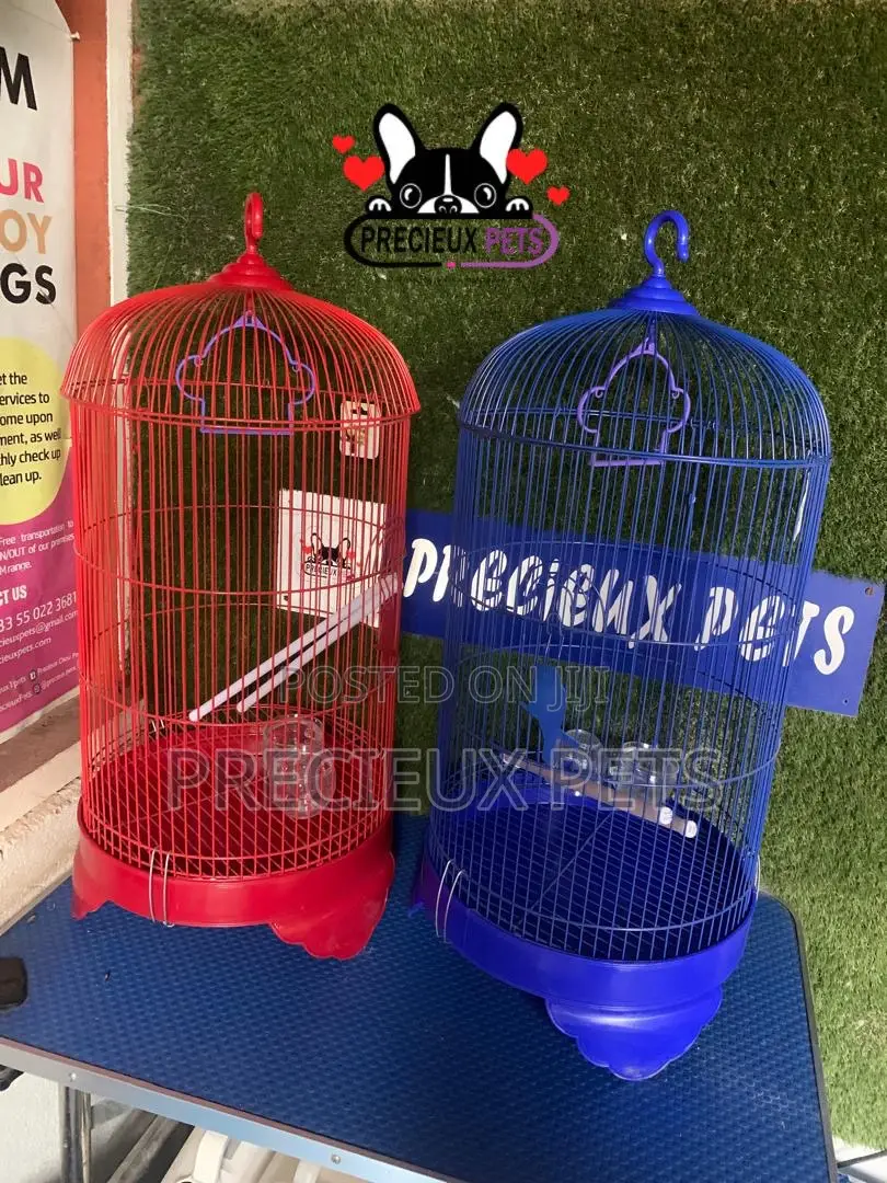 Coon Snapped Parrot and Parakeet Cage
