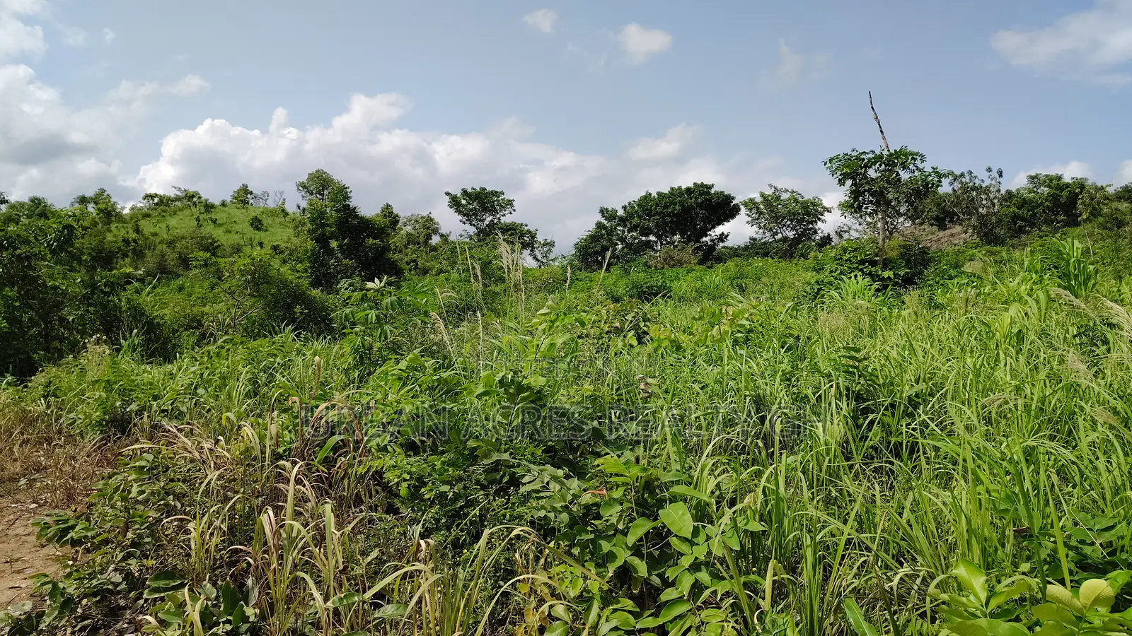 Central Region, (Ekumfi Essam) _ 200+ Acres Farmland