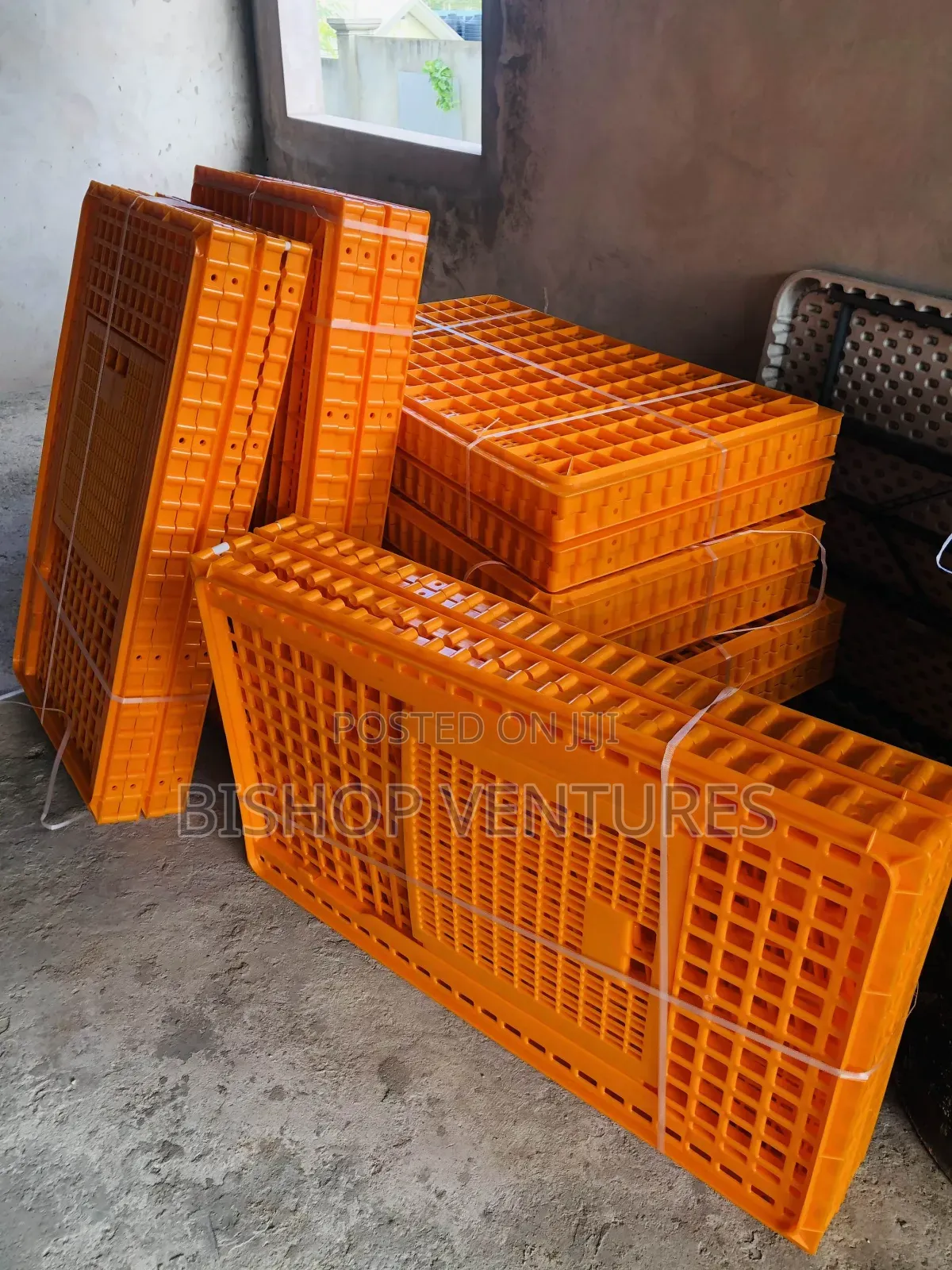 Transport Cages