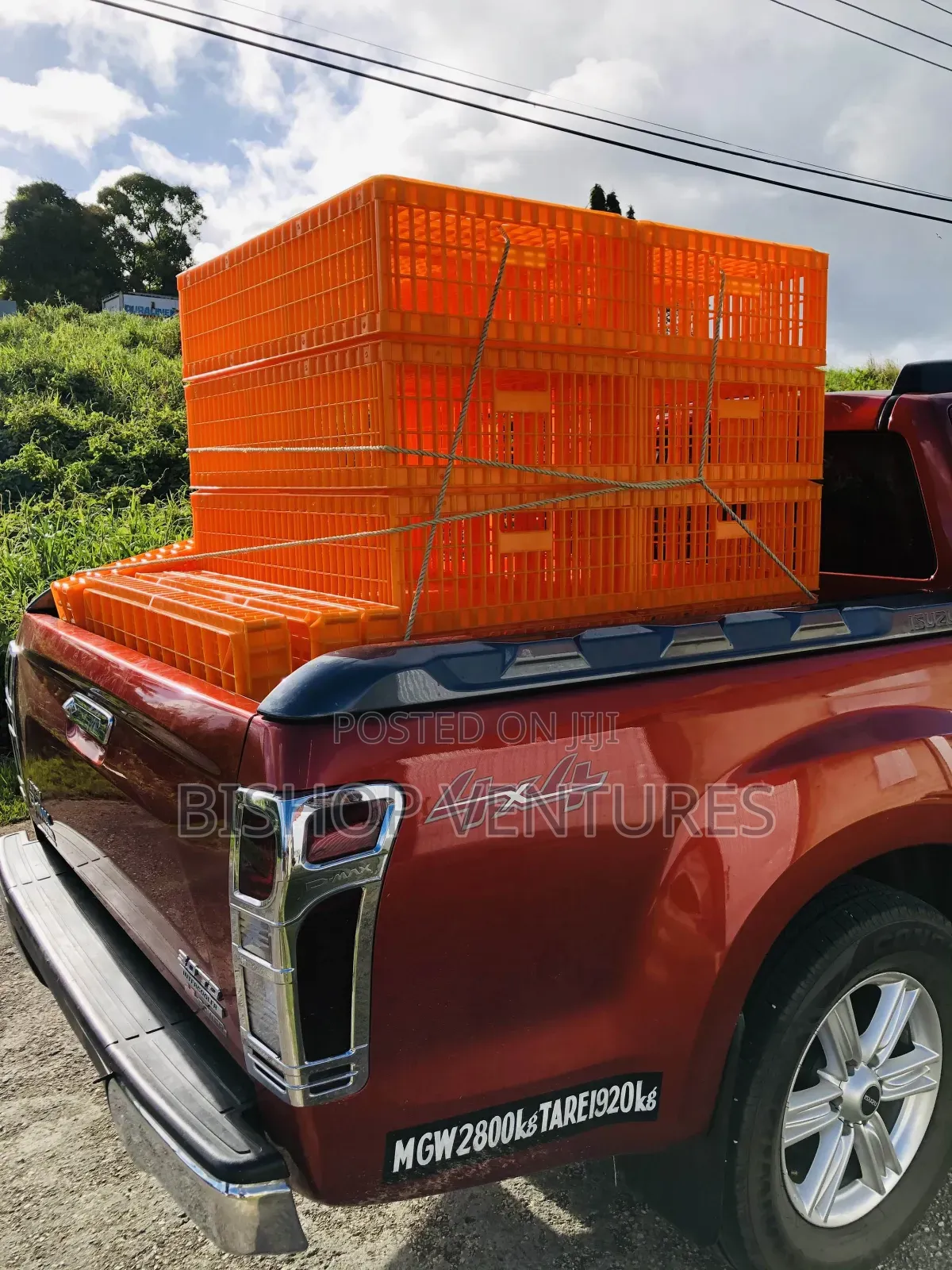 Transport Cages