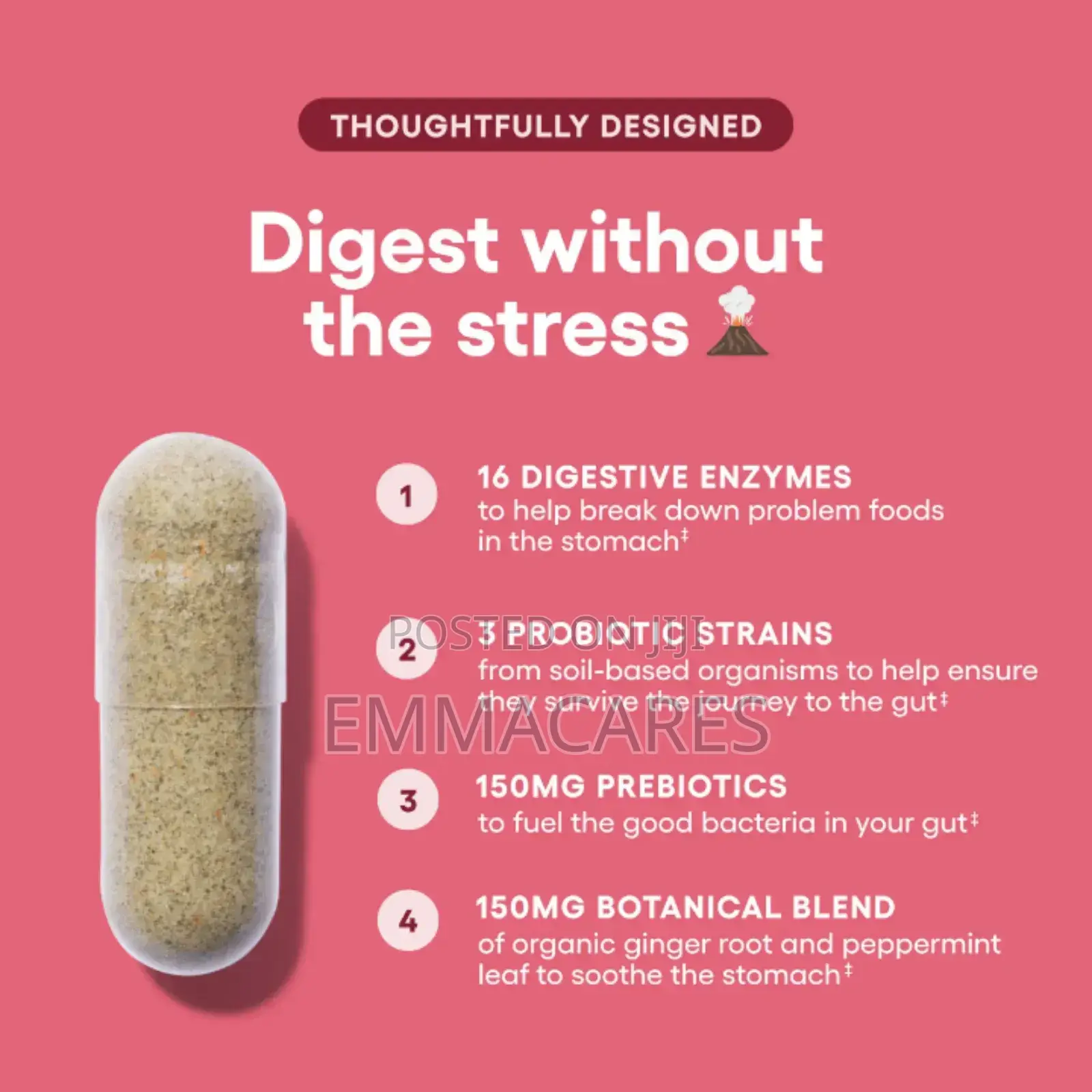Digestive Enzymes and Probiotics