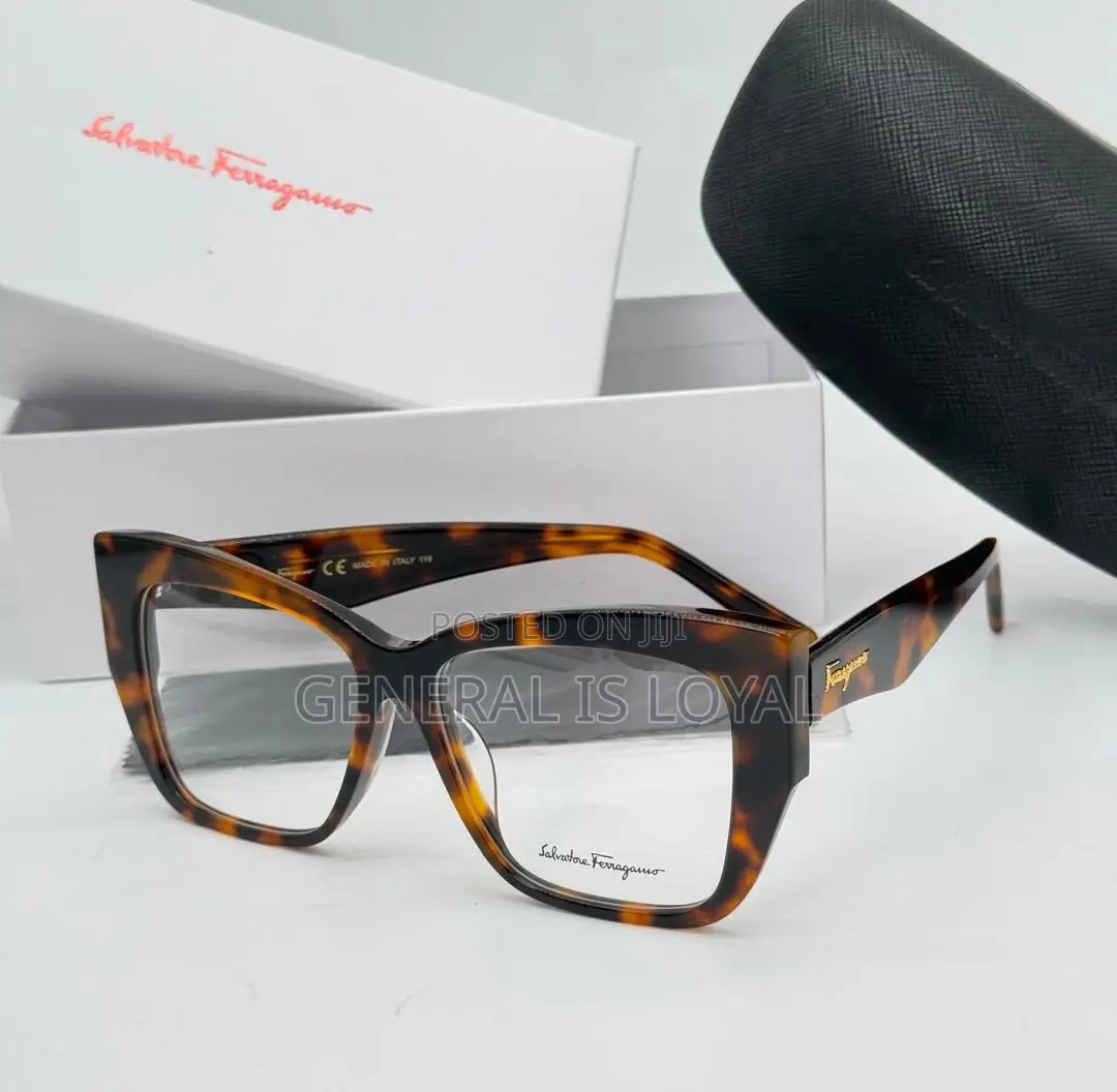 Ladies Salvatore Ferragamo Plain Frame