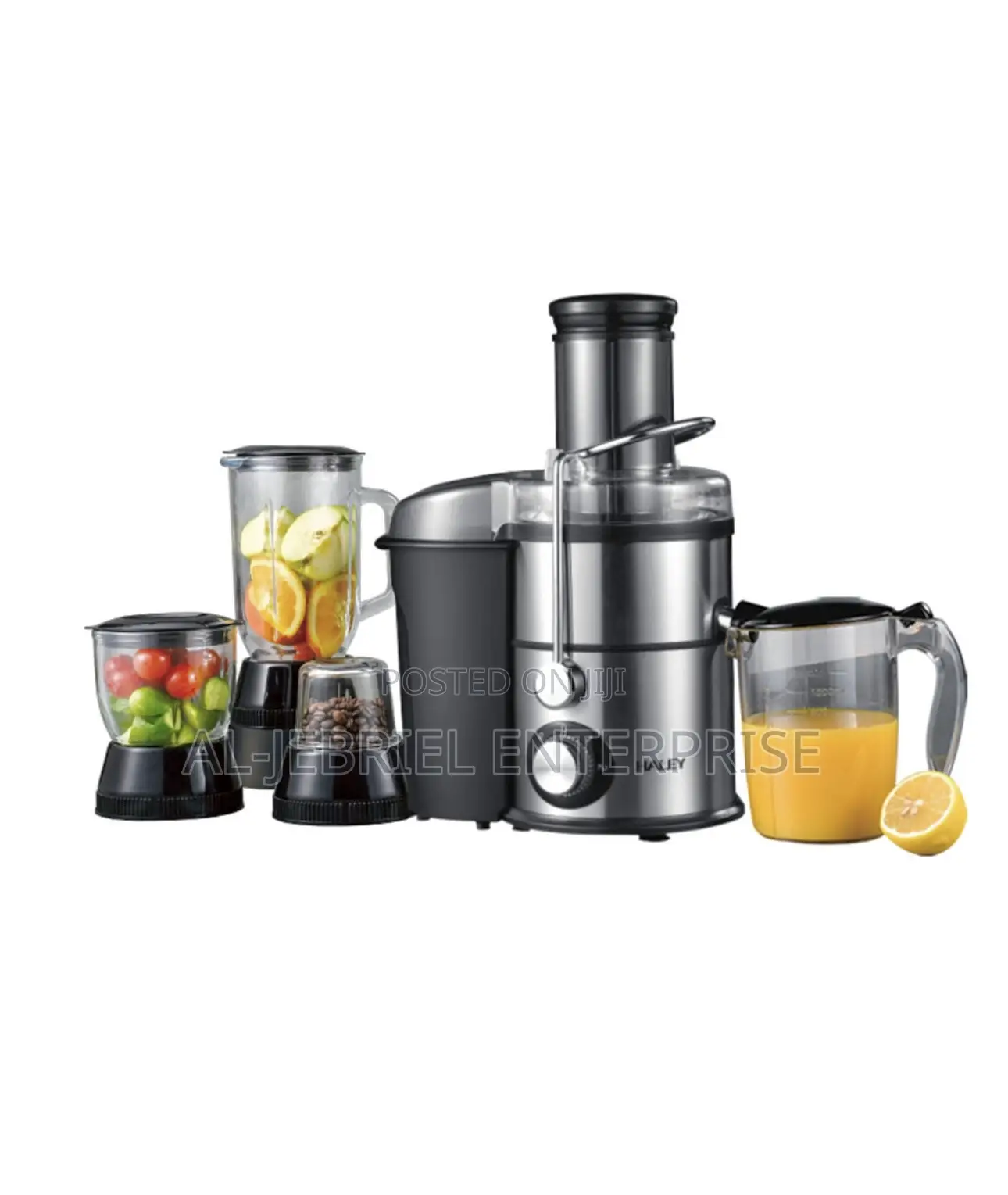 Haley Juicer (4-in-1 Jars )