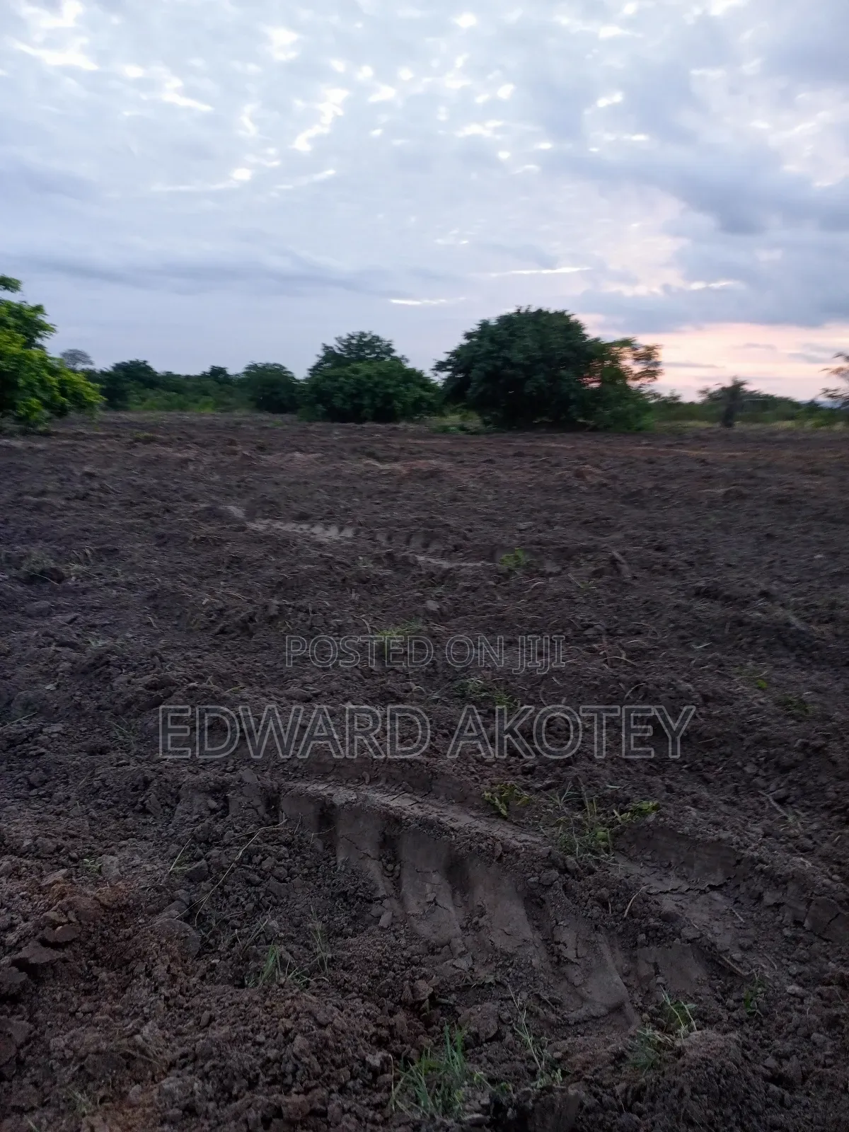 Fertile Farmland for Lease or Buy