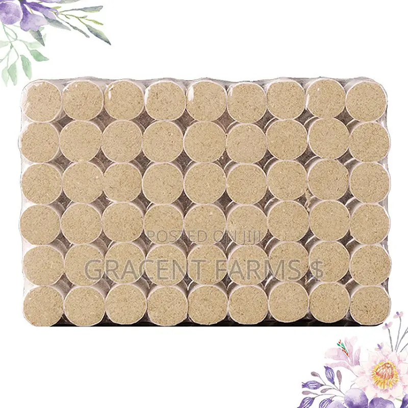 Moxa Sticks for Moxibustion