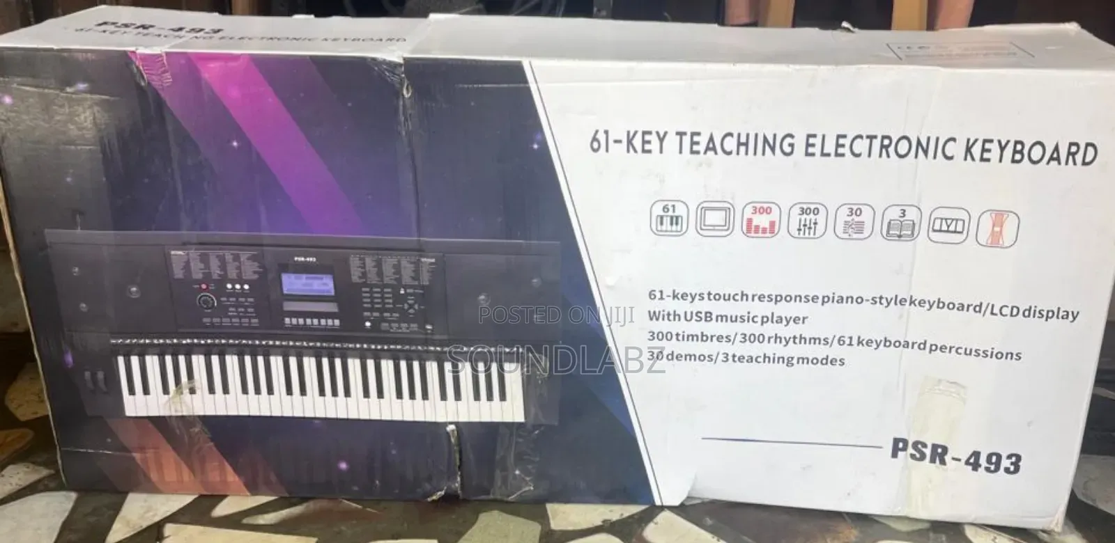 Psr-493 Portable Electronic Keyboard.