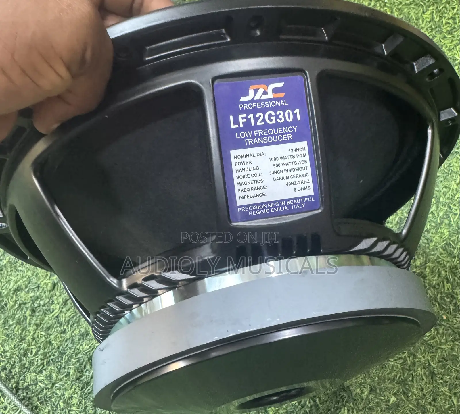 Single Magnet/ 12-Inches Speaker/Jac