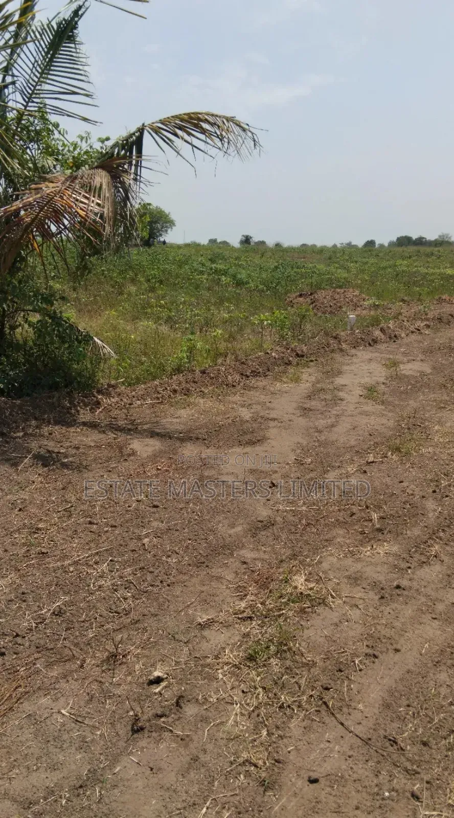Where Dreams Begin, Own Your Land Today, Panfokrom