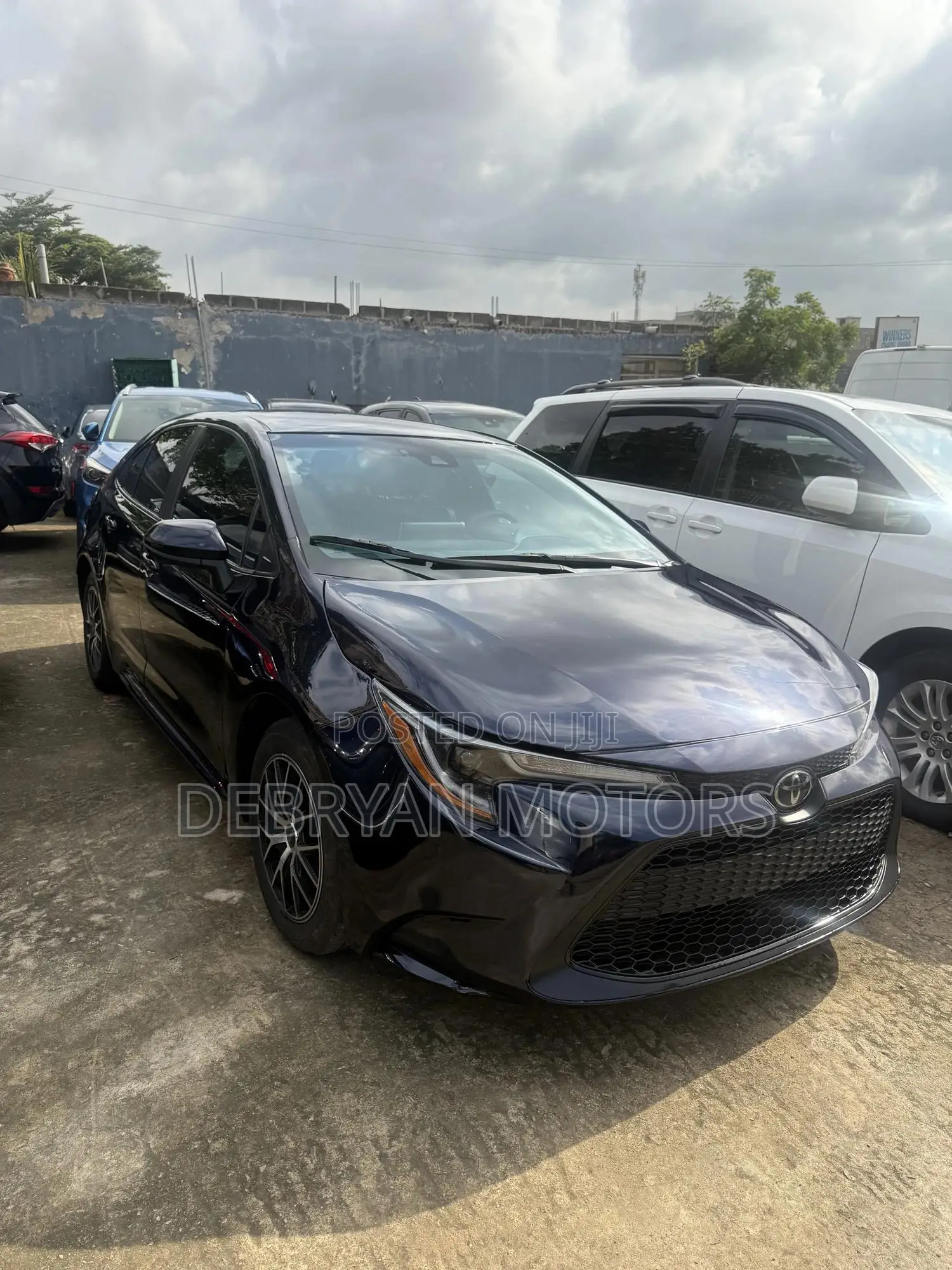 Toyota Corolla LE 2021 Blue