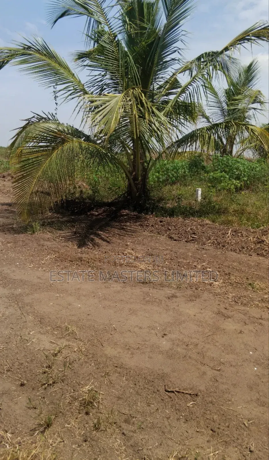 Plots Sizes to Suit Your Budget, "Panfokrom"