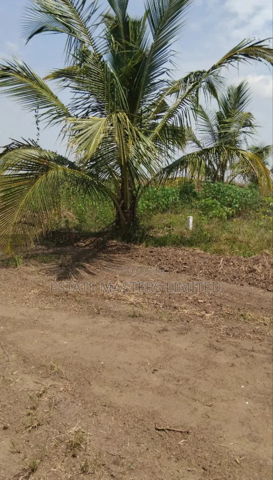 Plots Sizes to Suit Your Budget, "Panfokrom"