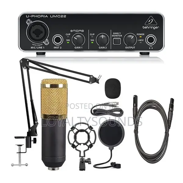 Bm800 Condenser Mic With Behringer Umc22