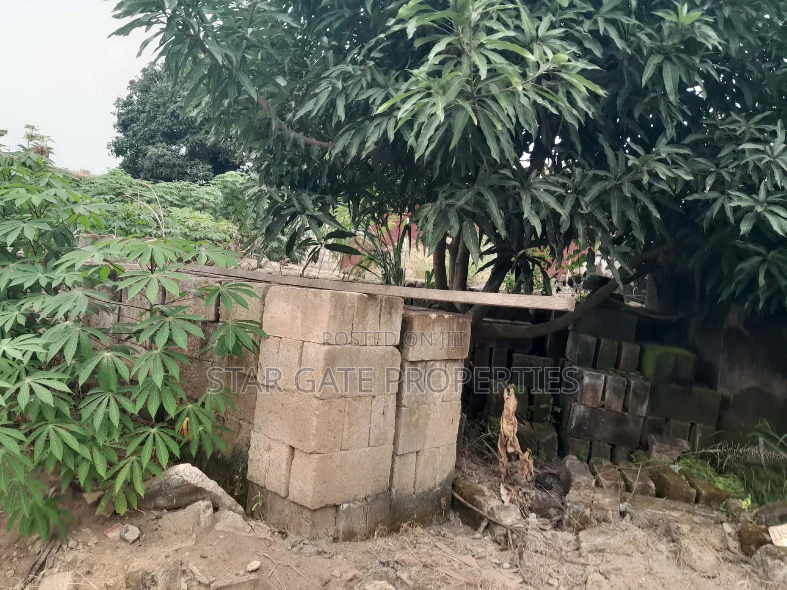 Plot for Sale at Atonsu Esreso ( 120*100) Fully Fence Walled