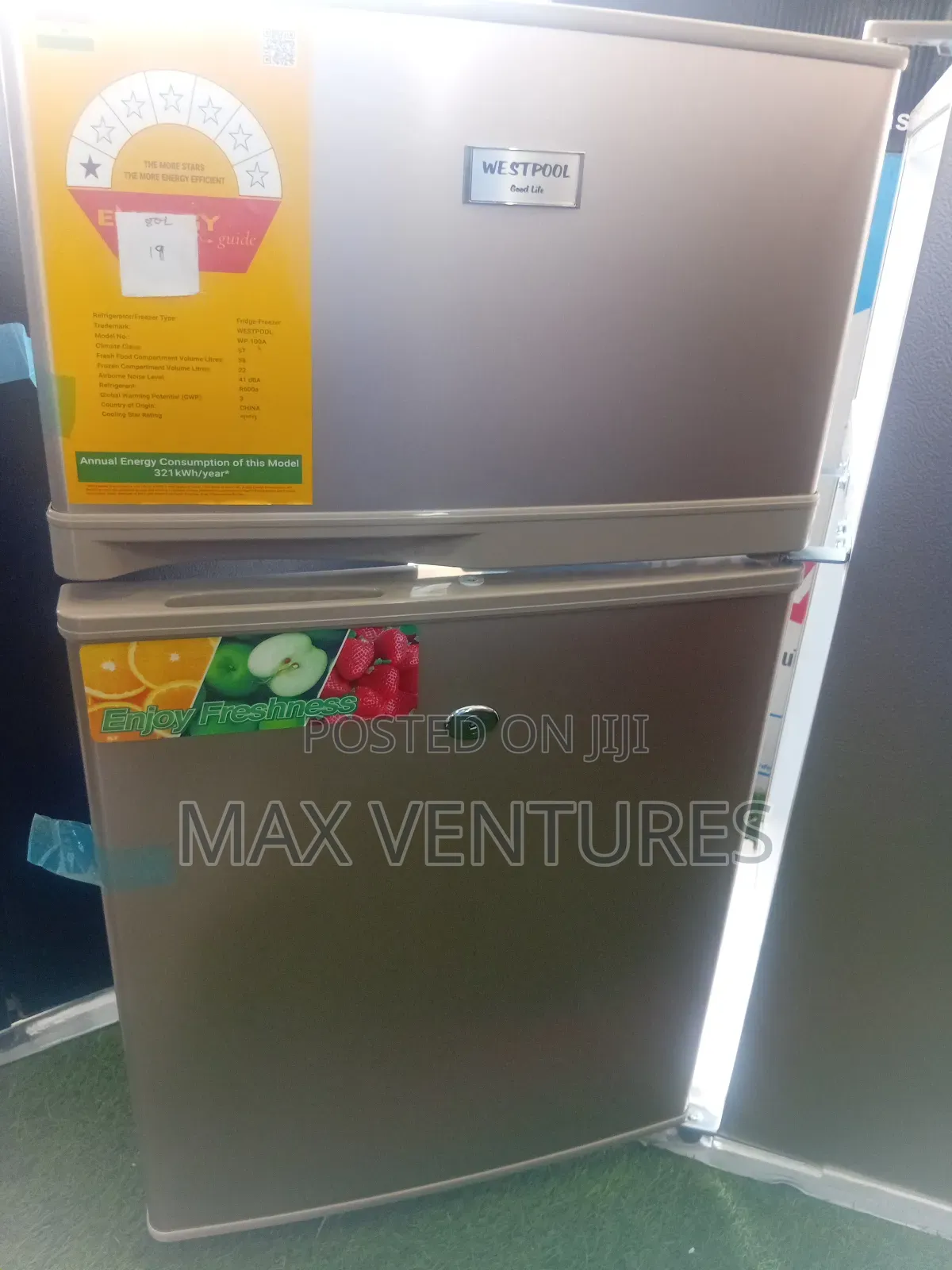 Eco Efficient Westpool Wp 100a Energetic System