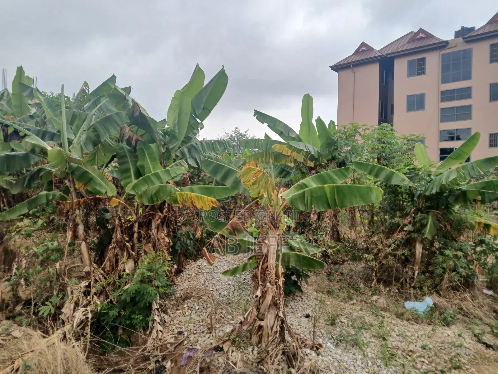 Plot of Land at Ipt