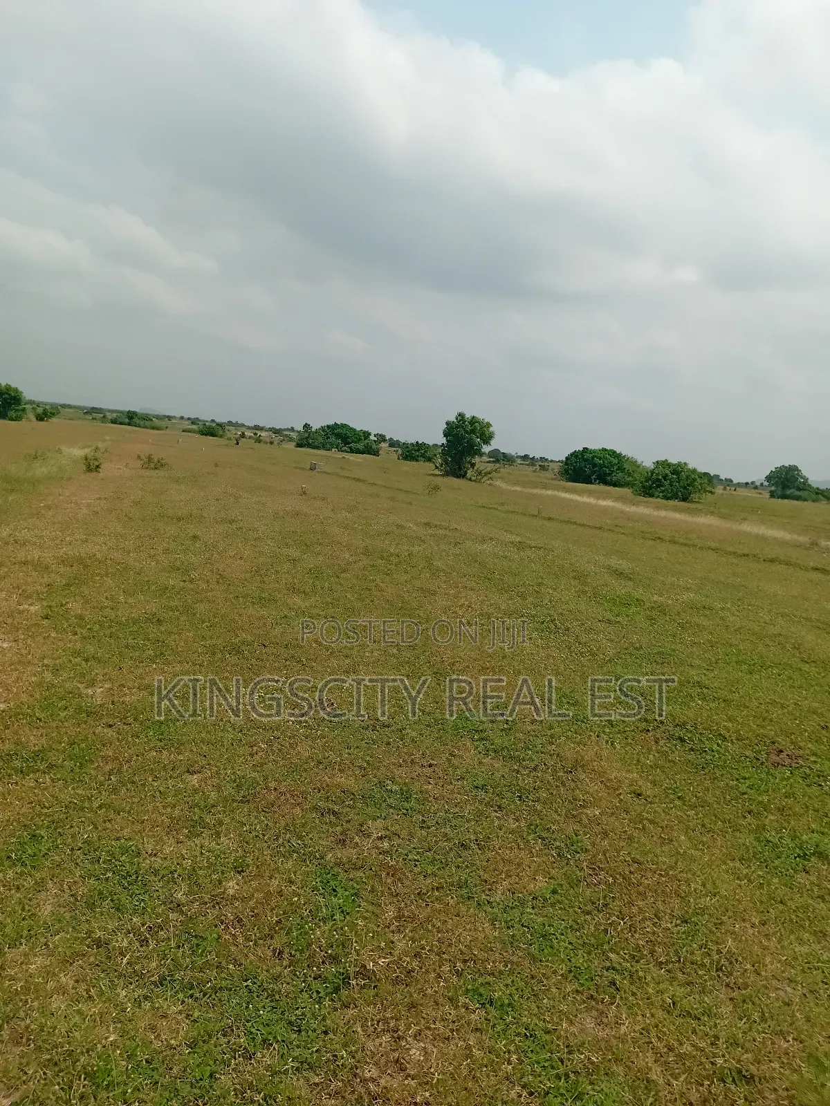 Don't Be Left Out, Buy Land Today