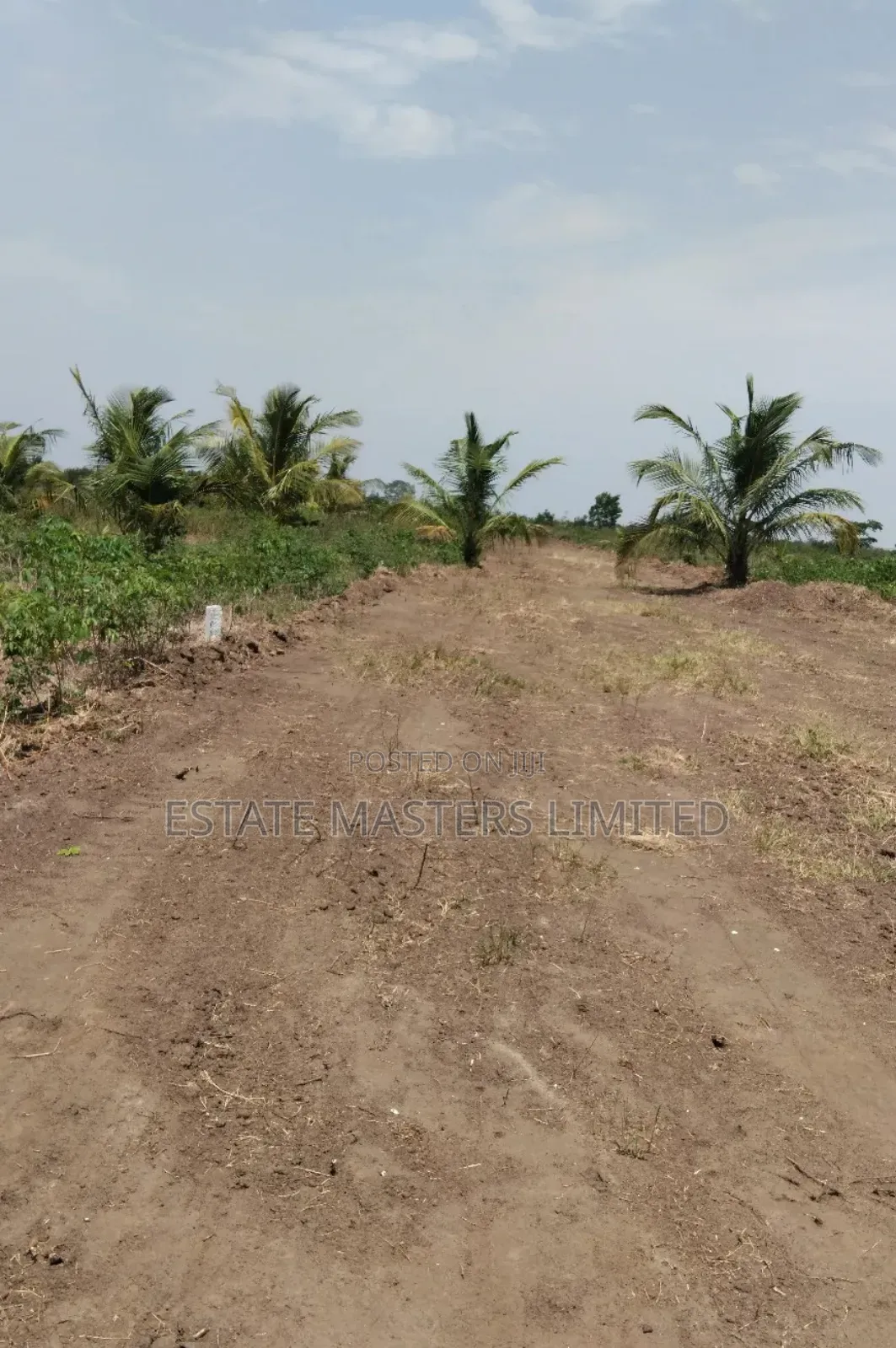 Create an Investment by Securing and Estate Land, Panfokrom