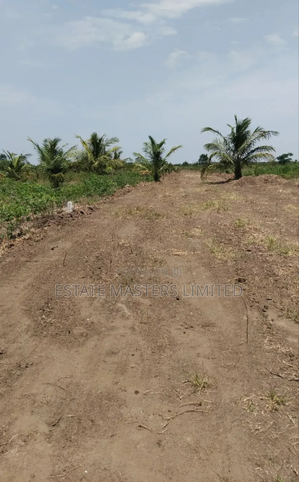 Create an Investment by Securing and Estate Land, Panfokrom