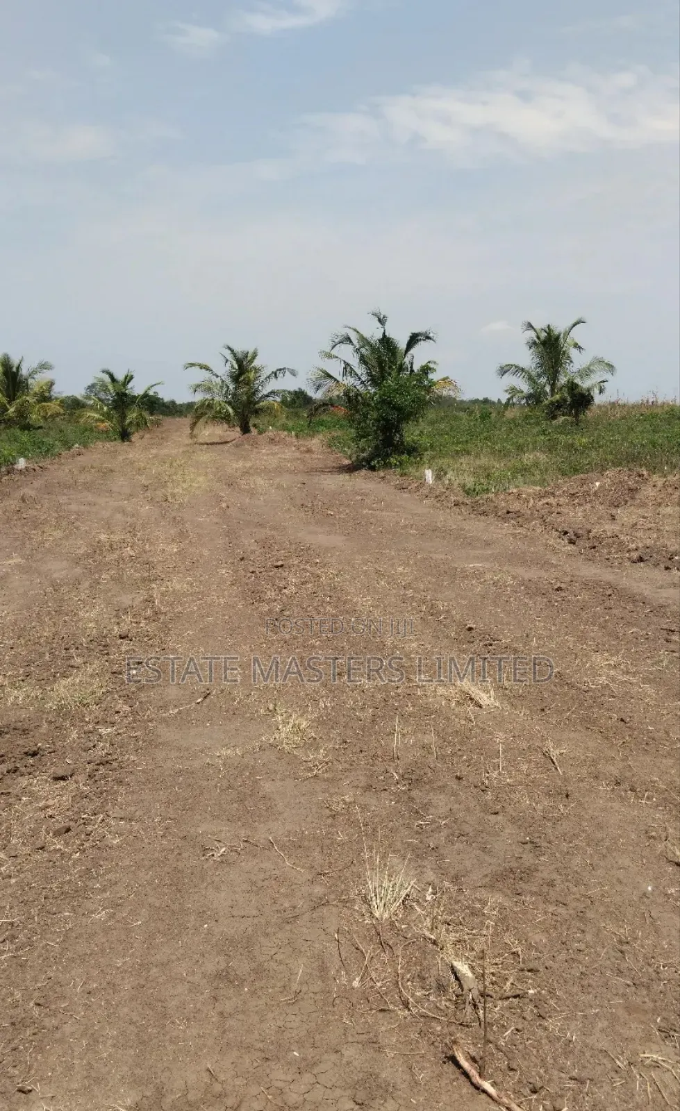Buy Genuine Land Now, Have Your Peace of Mind, Palm Hills