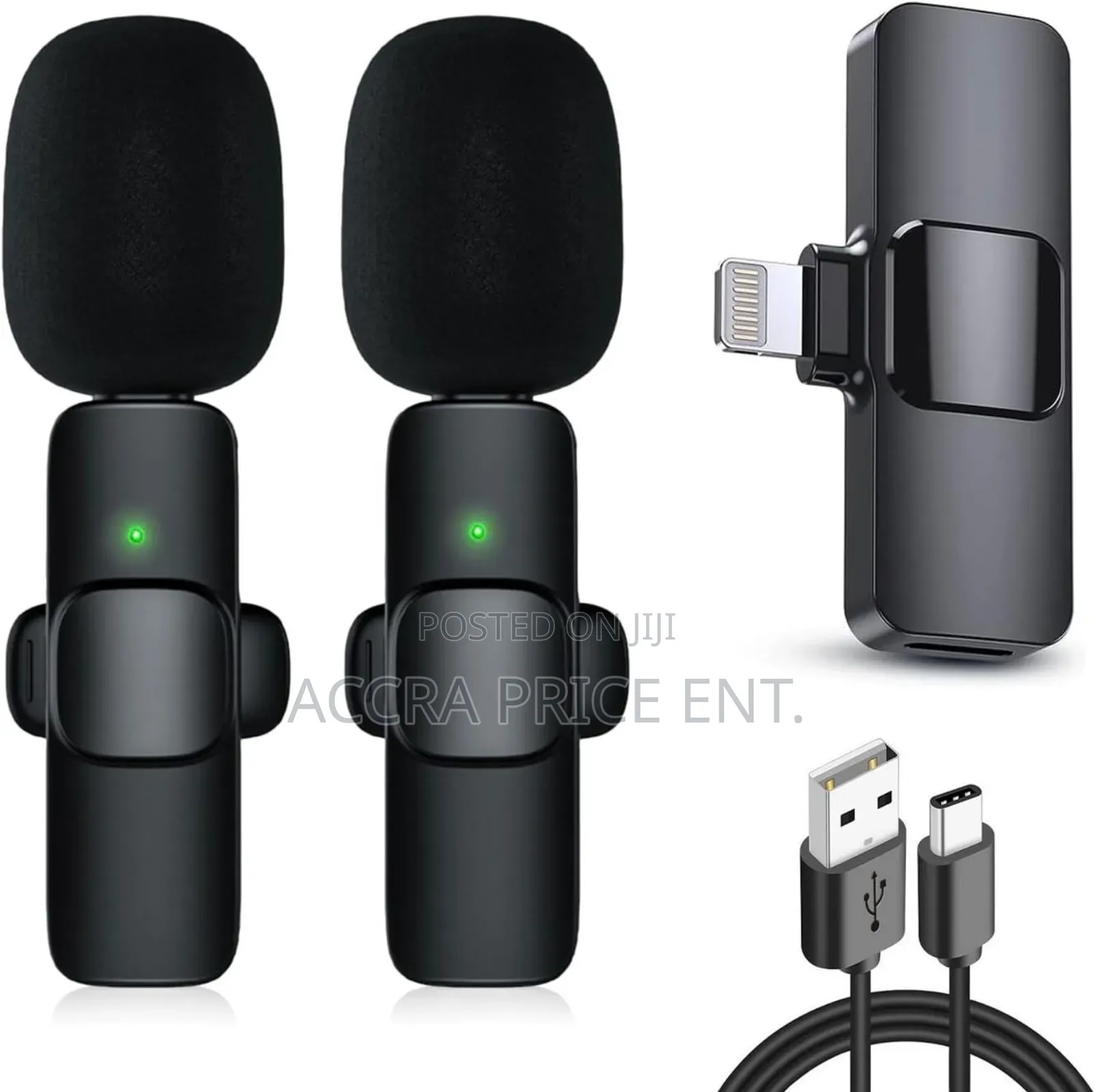 2 in 1 Wireless Microphone (223517)