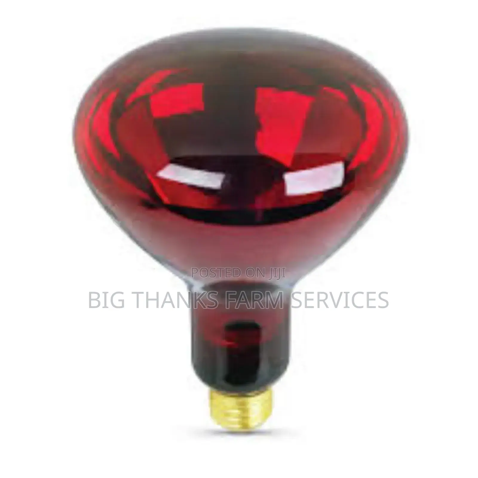 200w Brooder Lamps