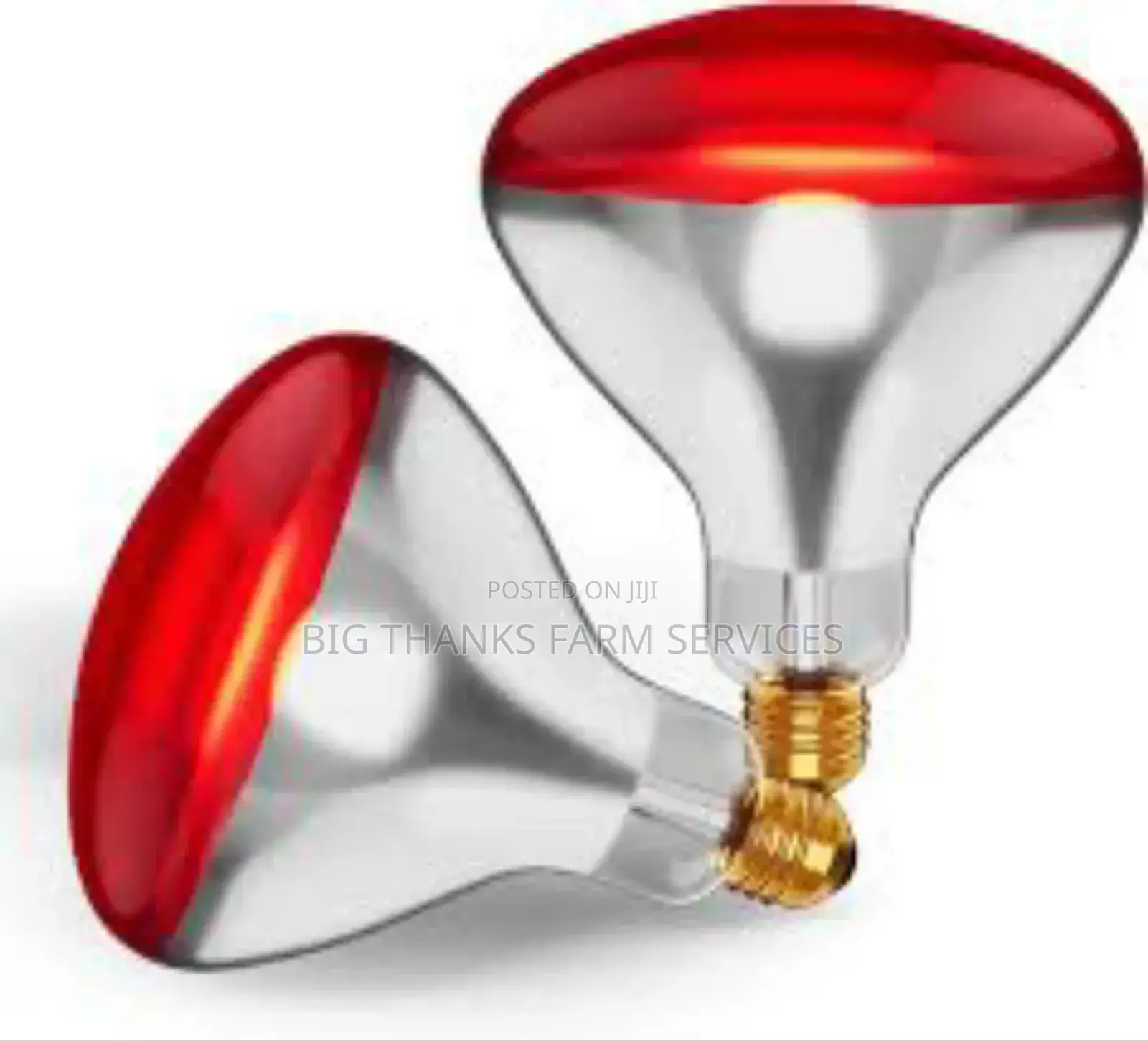 Brooder Lamps& Assessories