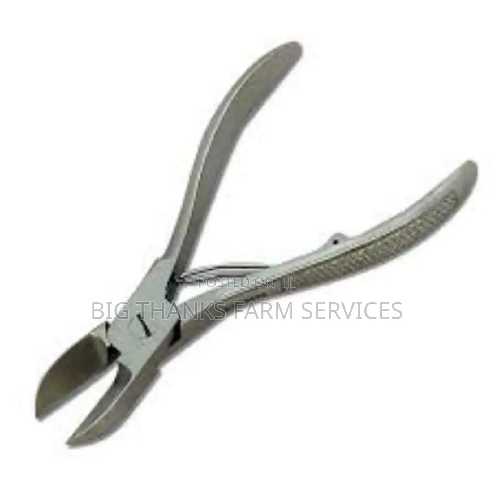 Pig Teeth Cutter