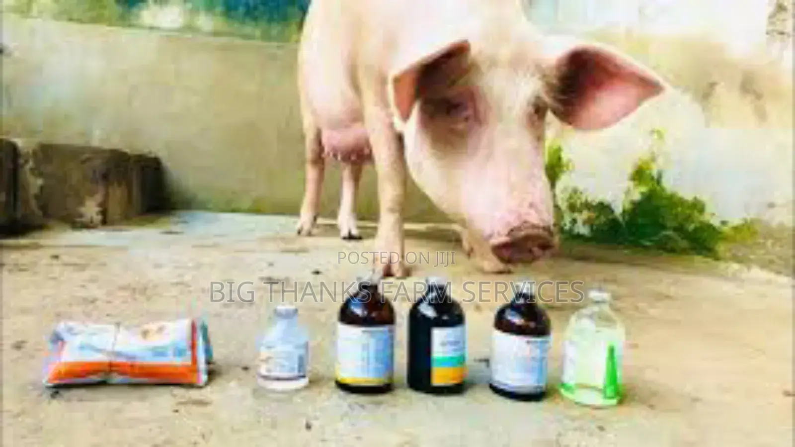 Livestock Medication &More