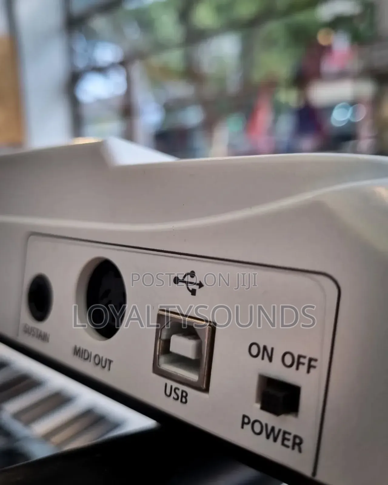 Samson Carbon49 Midi Keyboard