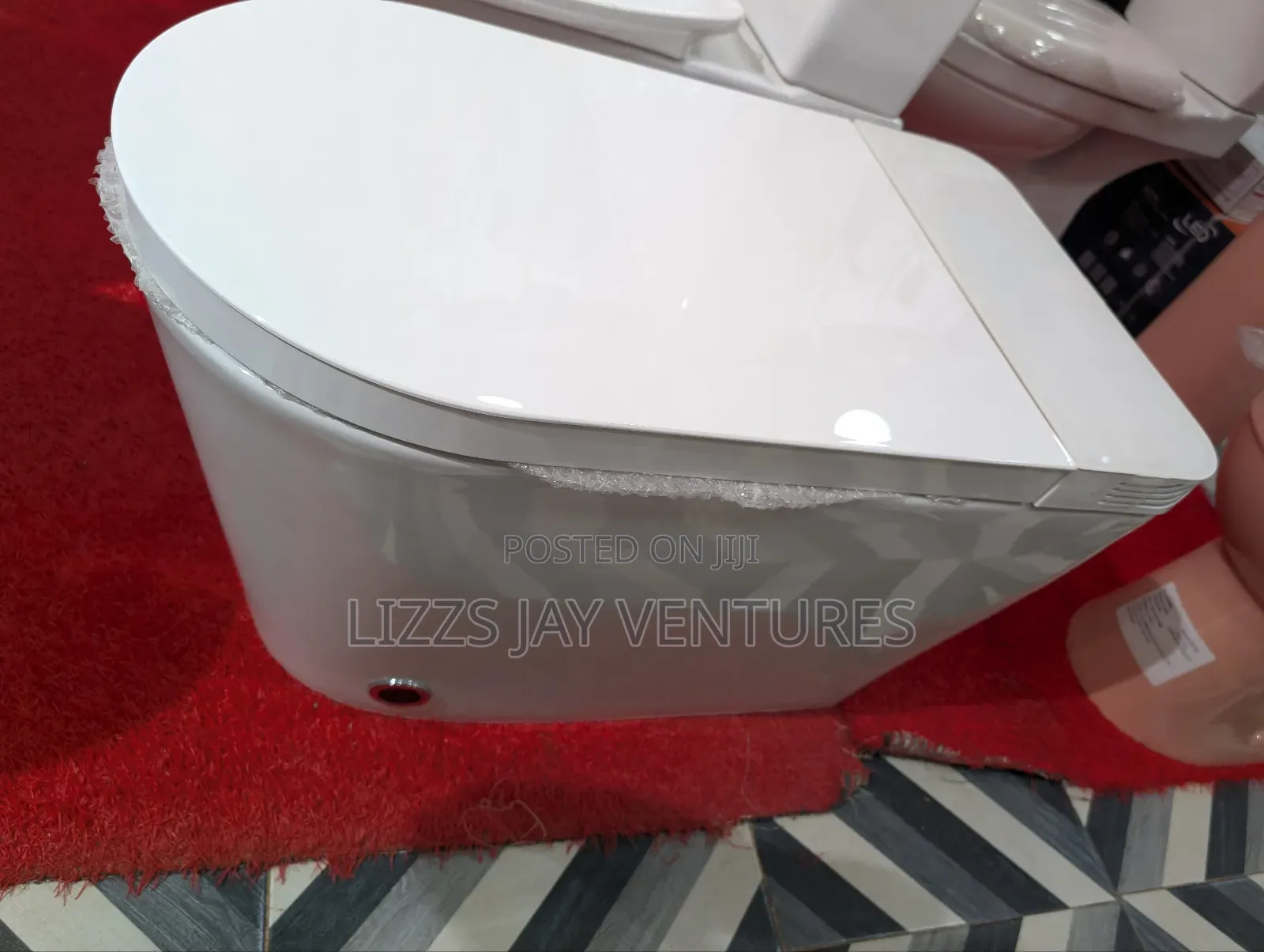 Smart Water Closet