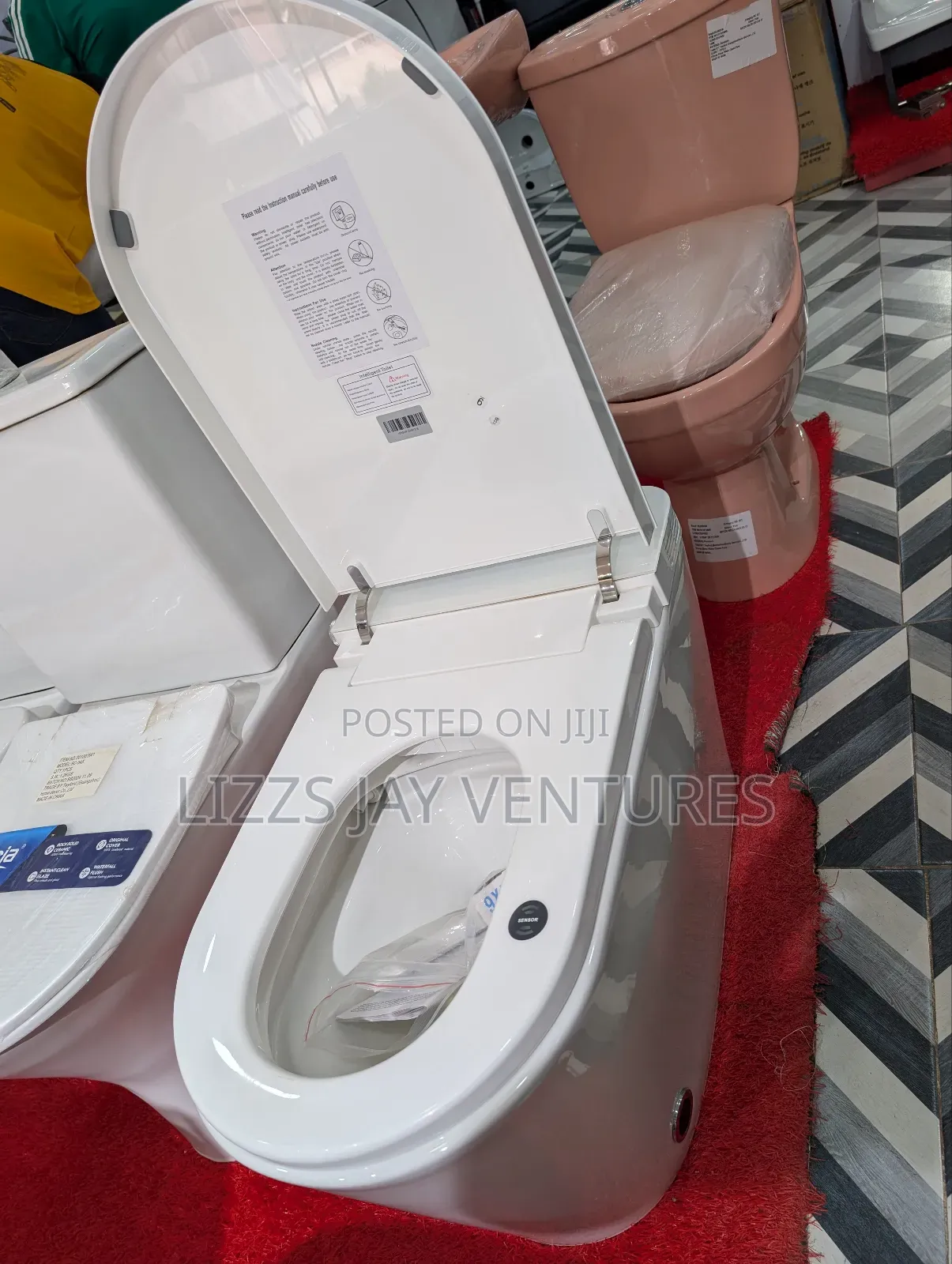 Smart Water Closet